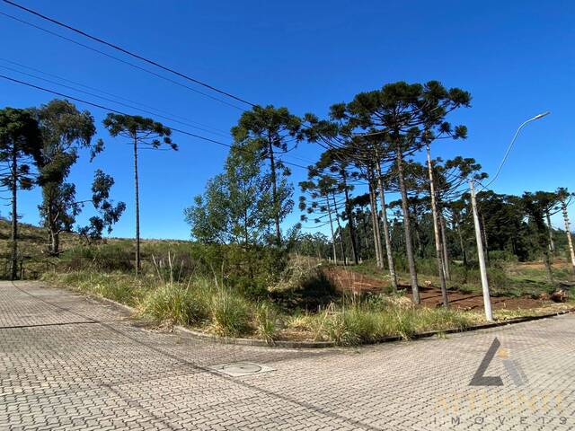 Venda em Ana Rech - Caxias do Sul