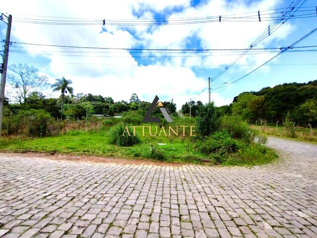 #TR4075 - Área para Venda em Caxias do Sul - RS - 2