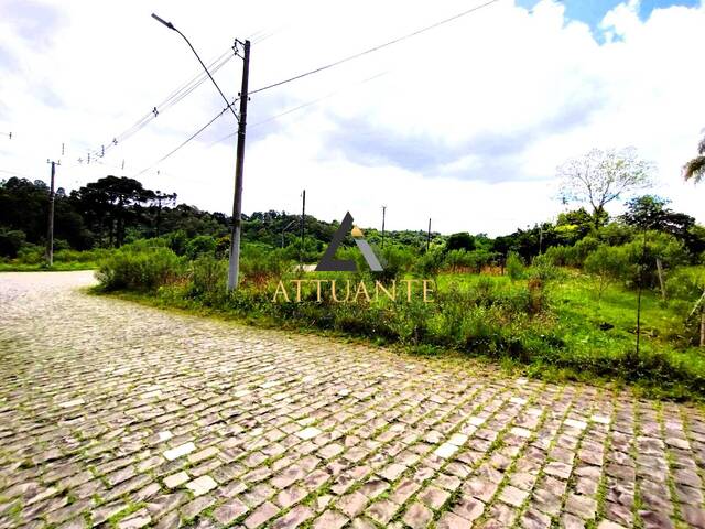 #TR4075 - Área para Venda em Caxias do Sul - RS - 3