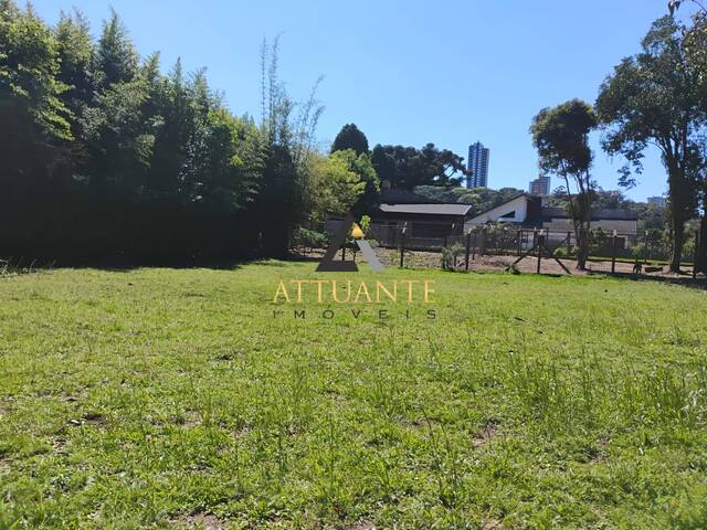 Venda em São Leopoldo  - Caxias do Sul