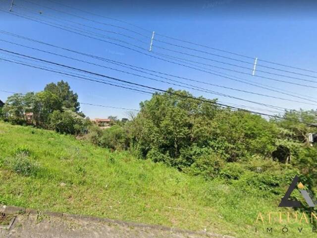 #TR4134 - Área para Venda em Caxias do Sul - RS - 1