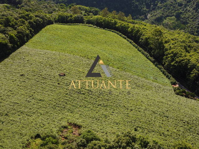 Venda em Vila Cristina - Caxias do Sul